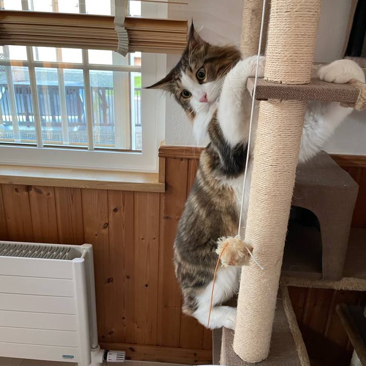 64deb94b 38b1 41ef 8c95 a97c2ceaeeeb 1664918892108