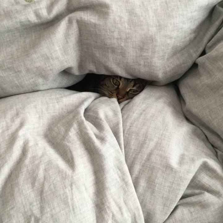 64df20c9 da10 4f50 b1d0 ed5d840e919e 1523503446084