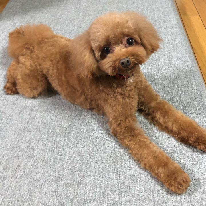 64df4796 f1ff 488d ad79 ad42c0b963a9 1603374701312