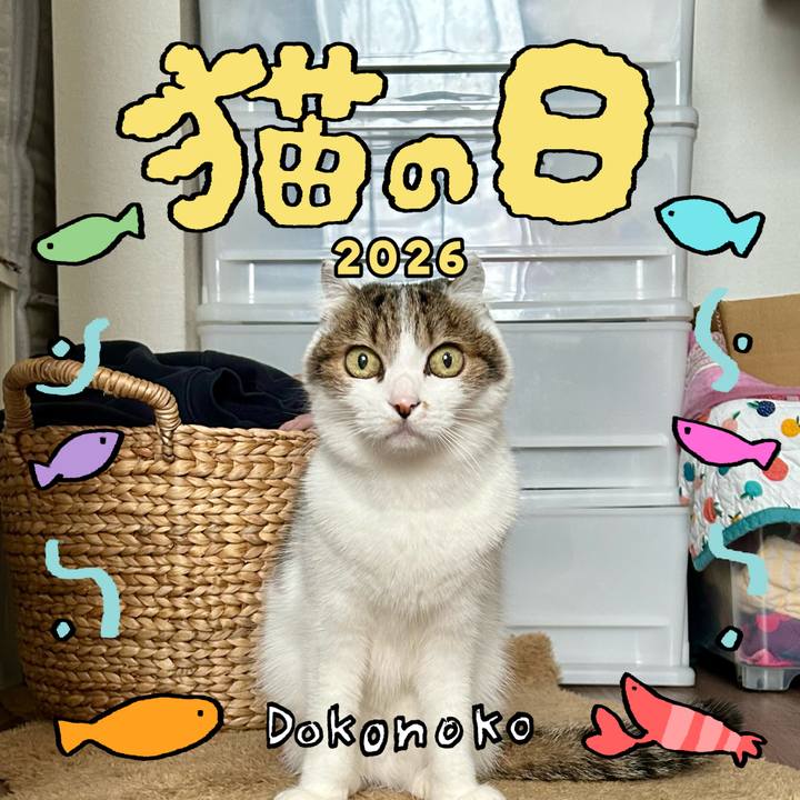 64df4e7e 3383 4605 834d d8a9dace7098 1771752313724