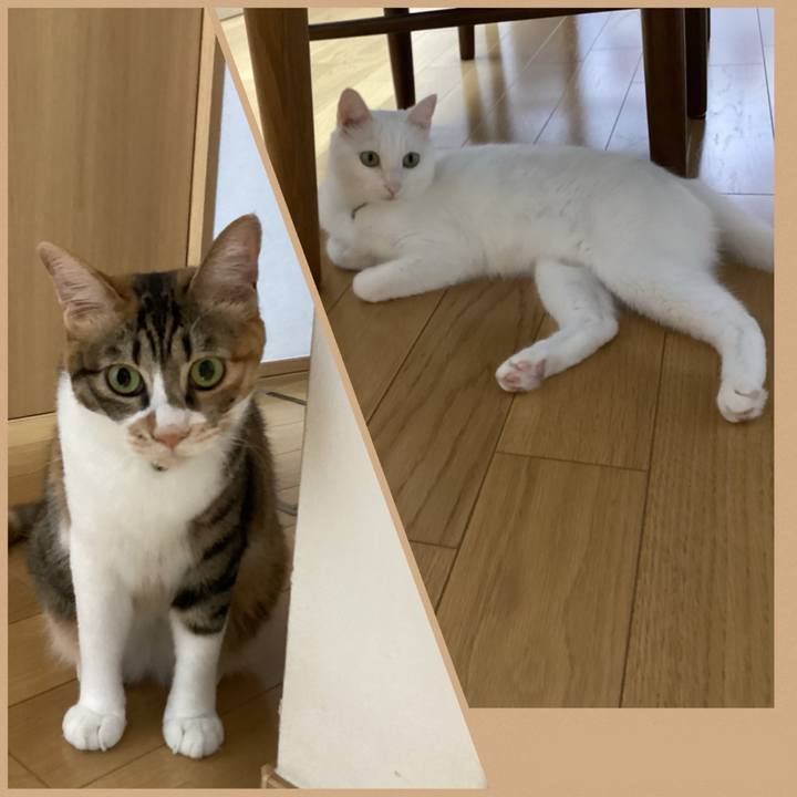 64df791d 5cca 4034 b0fa cc3b5a3d15be 1726361527742