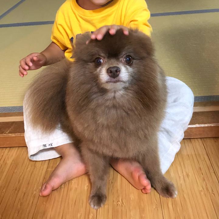 64df943f 15a3 4814 9ec8 025781411a4c 1532348909677