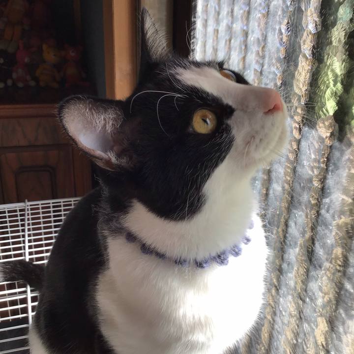 64df9cc5 682a 4662 89b6 f25f1e2bc6e1 1640922317198