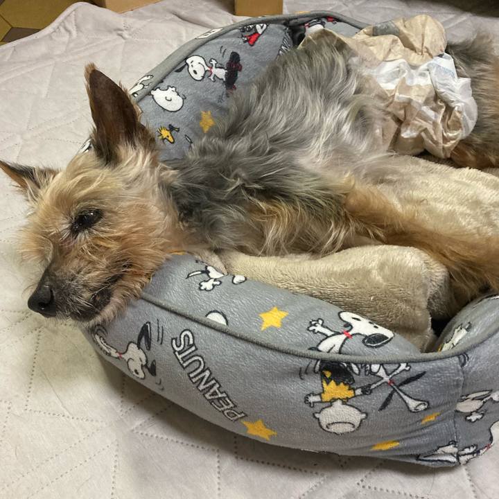 64dfbc33 7c08 4ca2 9aa6 d8474b279499 1698657761197