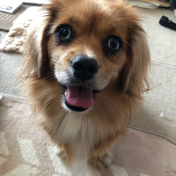 64dfc14e 14e5 415c aadd d64994fc7216 1538781992715