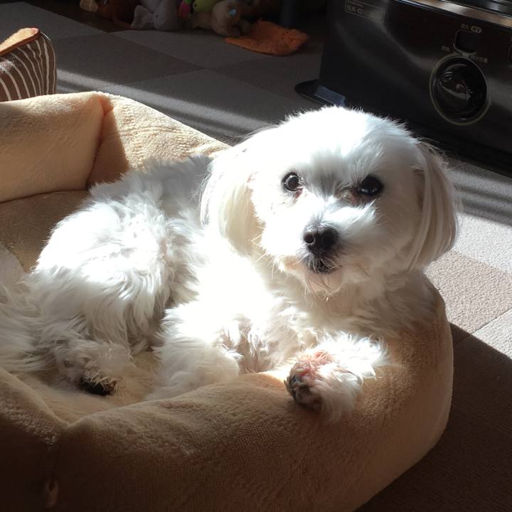 64dfe448 ade1 4d7e ba20 ecd2cbefea71 1545964333752