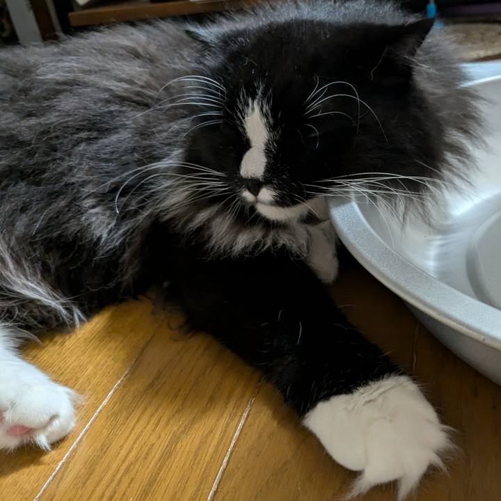 64dfeabd 1b0c 4830 800a 7ef92cfb5b50 1721336058365