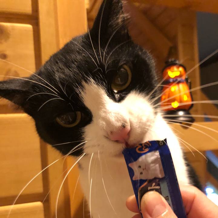 64e00f9f cf74 4439 9b4e 59b74a5168ba 1540907213996