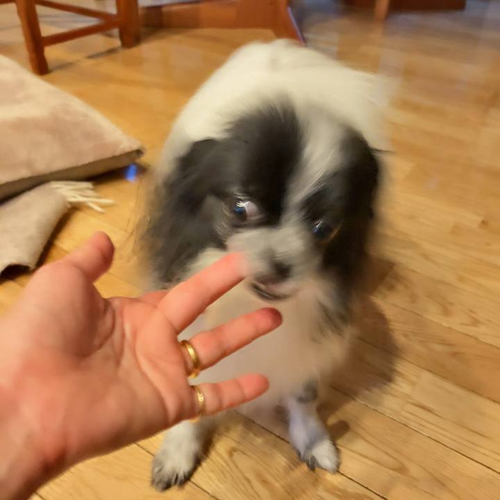 64e046f8 85ba 4622 ada2 d6e7df253718 1565867097078