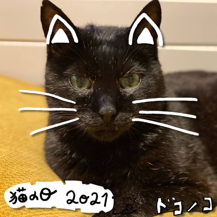 64e0741c 30b7 4329 8988 c51f8ee187b0 1613980575454