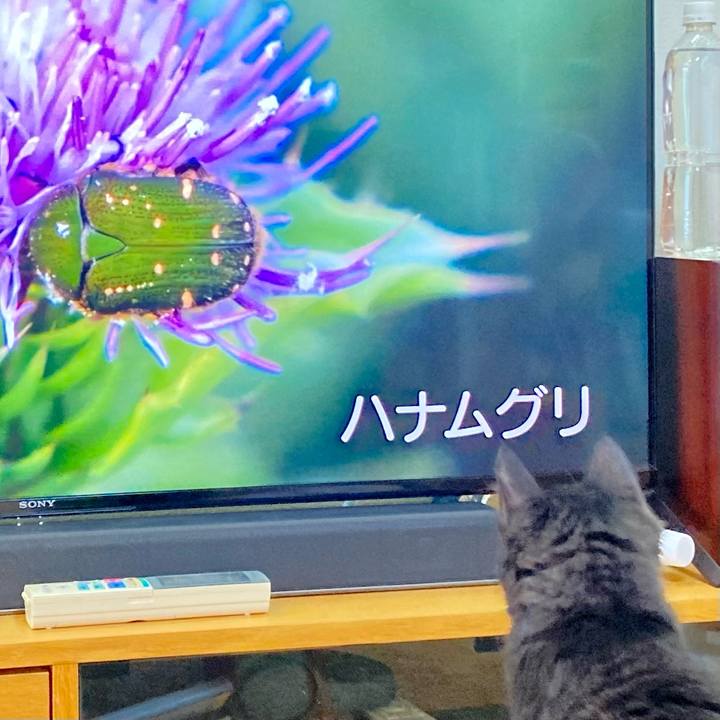 64e08c16 4cfd 4938 a2e4 1f7dde3d90e9 1702779342400