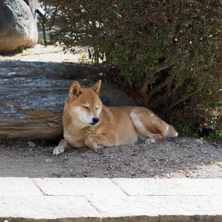 64e090c8 d60b 4b24 b8a4 f5b7c5f0208d 1772235716928