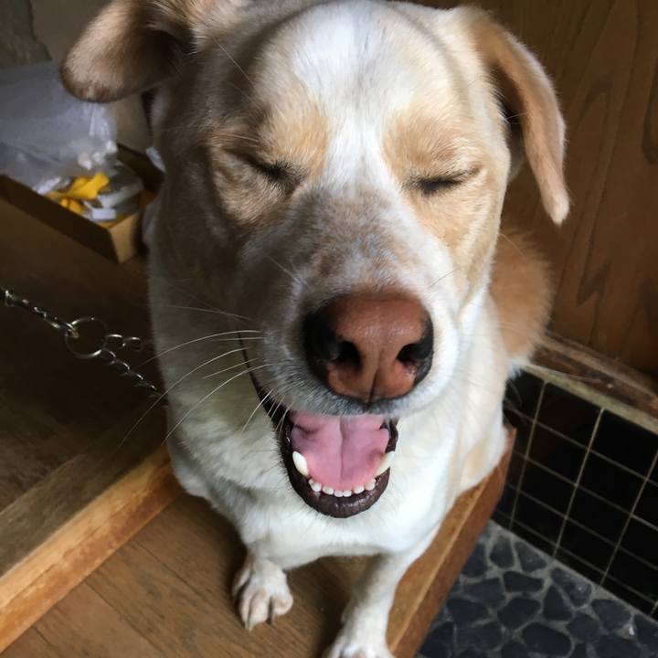 64e0b79a 9626 422a 8a4c 0229d550516f 1528506439391