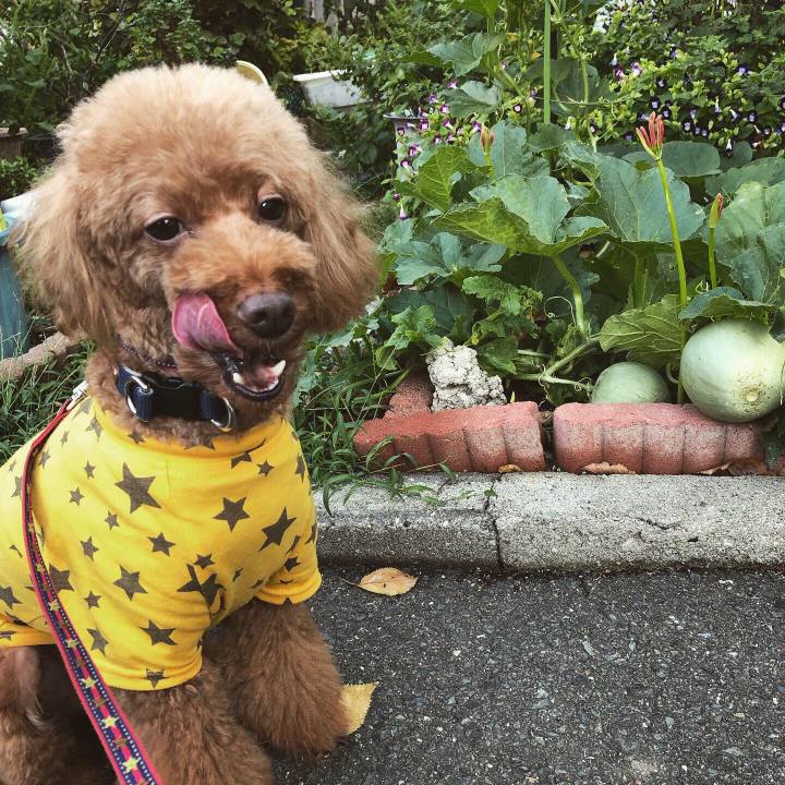 64e0fb3c 81bf 44c7 9bf7 c8931dde9dbc 1569376153297