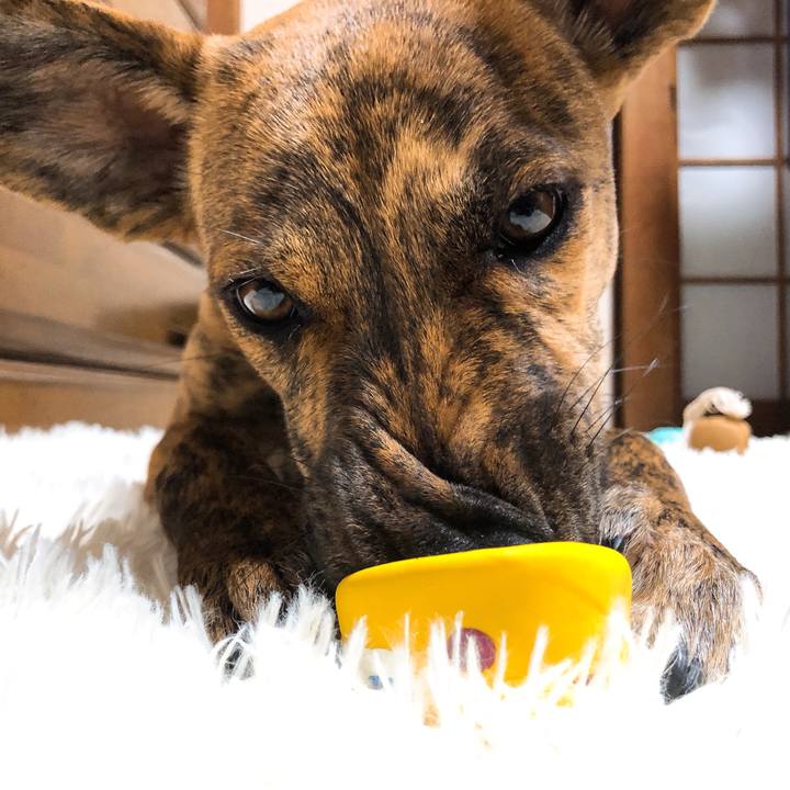 64e1016e 1971 420b a896 7e388955a839 1578842889052