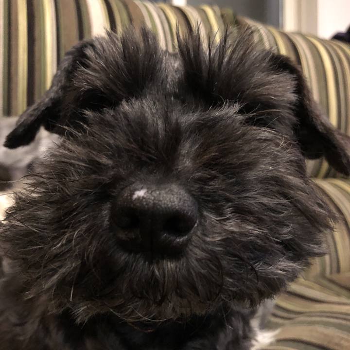 64e10672 3167 4dd7 a2cb 604aaddaedbe 1523477965899