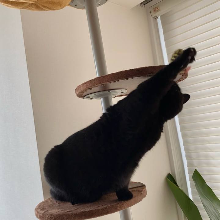 64e129dd 10aa 4cf0 947b 051cffd4a09b 1629621709692