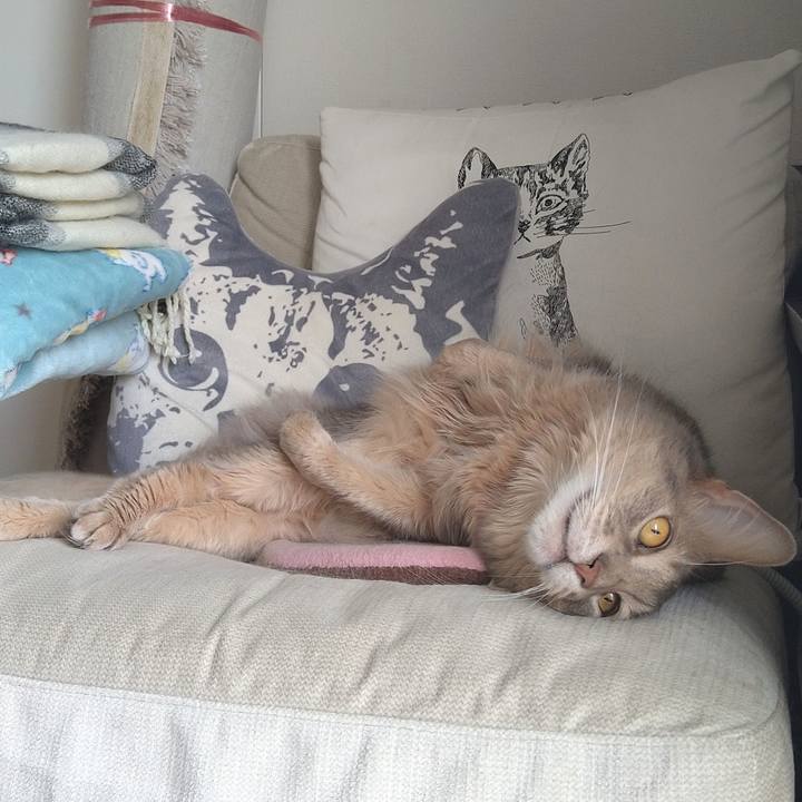 64e1495a ff38 44a3 9633 b7f956bc9c60 1618292212012