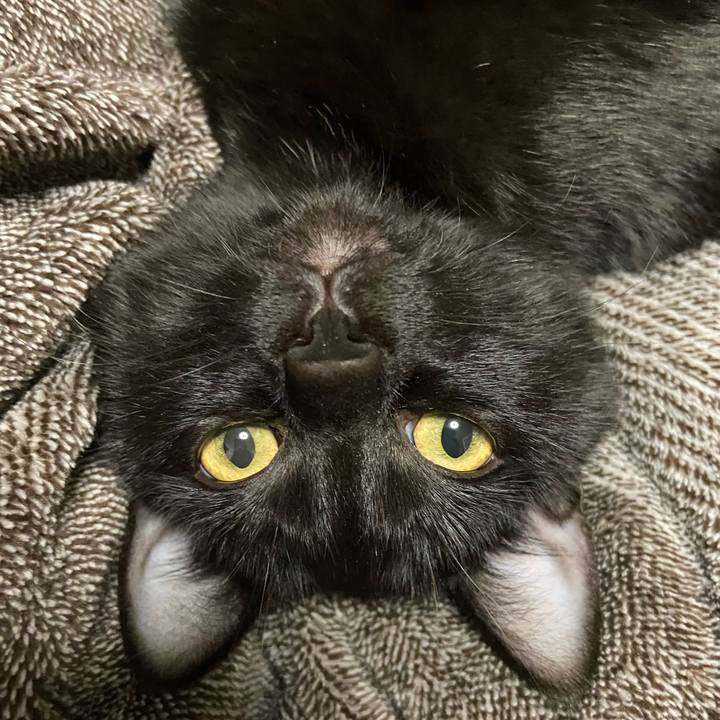 64e159ba 8299 4de4 8e0e e97df831ab98 1620394758516