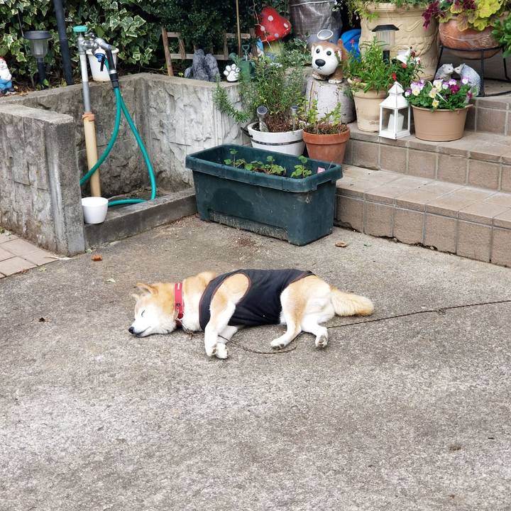 64e16e94 a364 4d09 9192 440b2ba77995 1731372620492