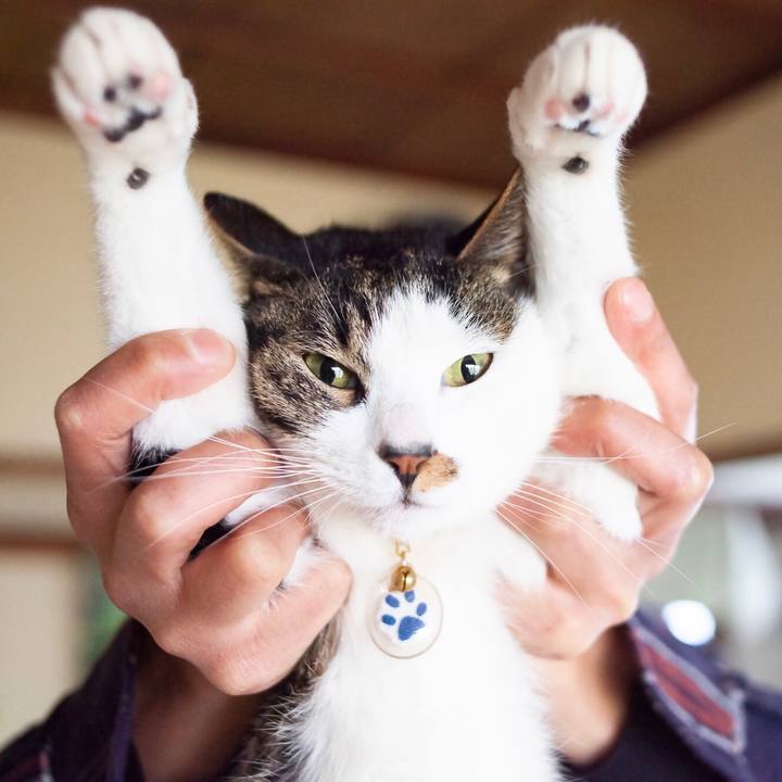 64e1af42 8efc 443c b87f 30a5744b5fe7 1587612307055