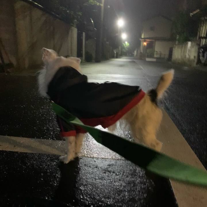 64e1cef5 1f8f 4324 927d cb30280f47f4 1621170115873