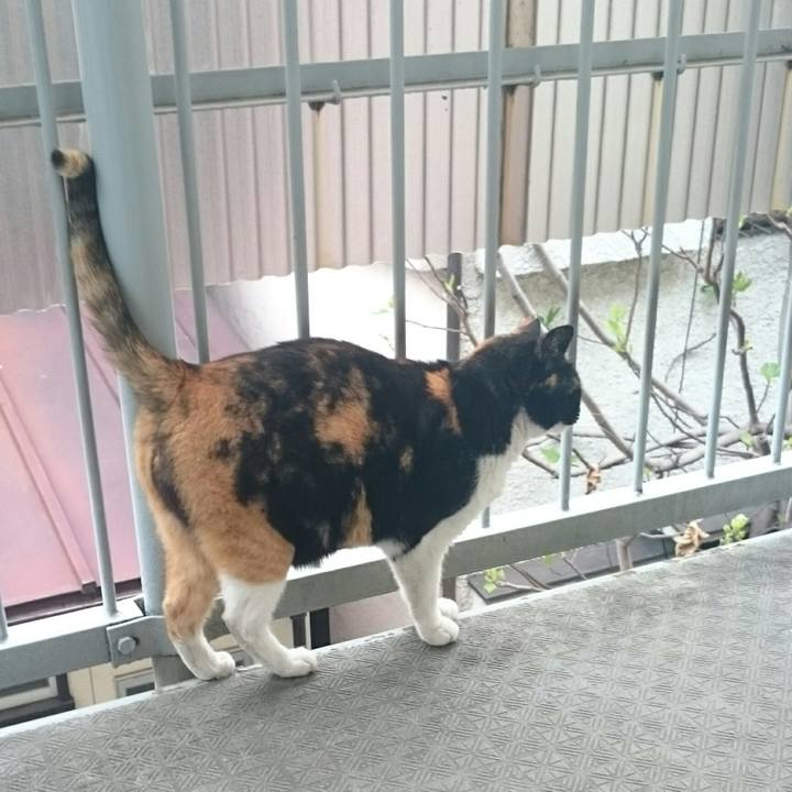 64e1eb4e 6a86 4046 94d9 056476a6aaf5 1522710950403