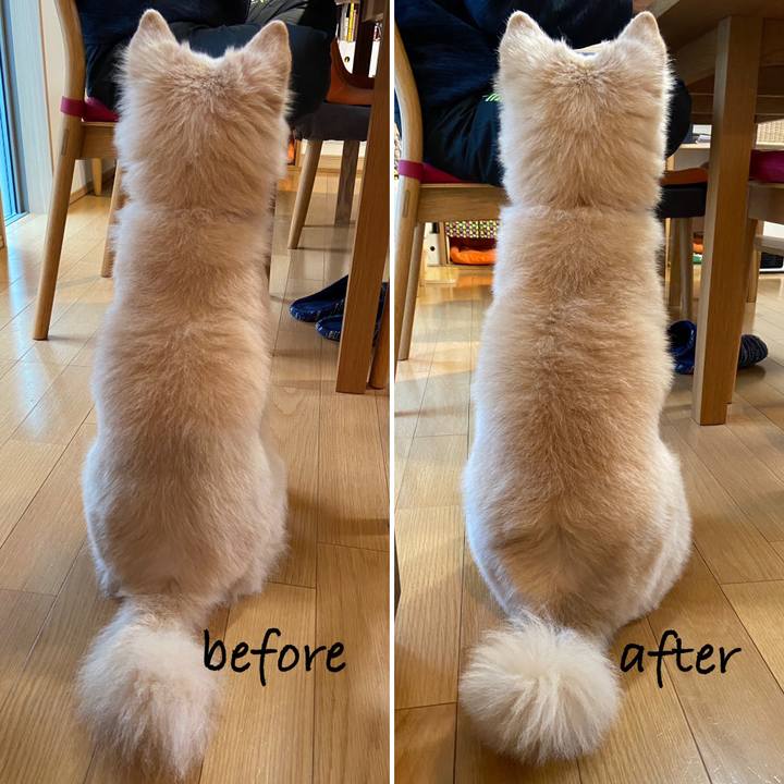 64e20e4f 3384 43c5 82bb a5f27afd4b31 1671159956760