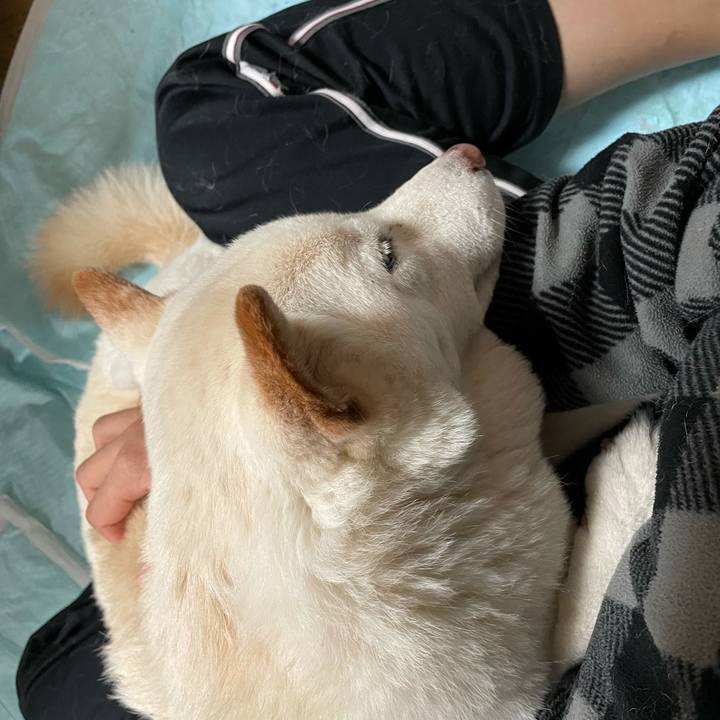 64e24236 f999 4d98 ab7b 52e33fb9432a 1634780507132