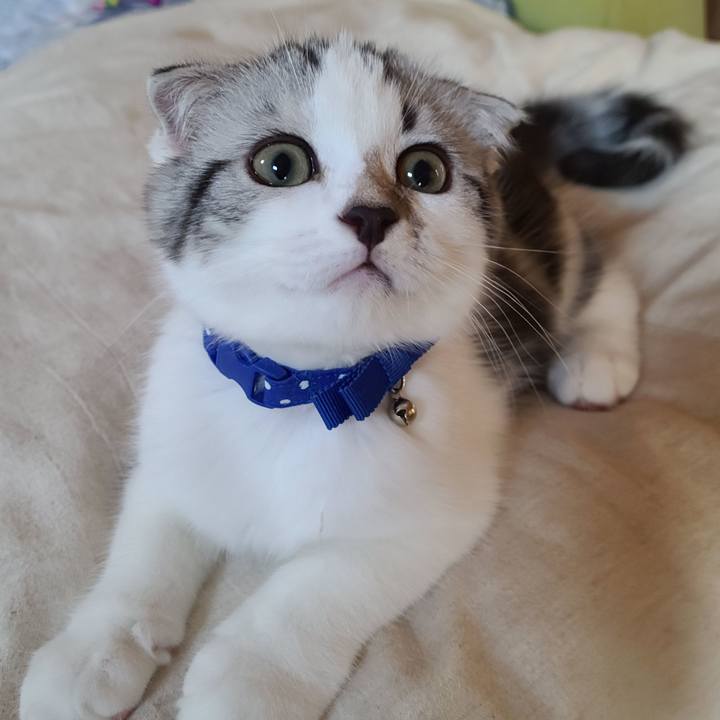 64e286dc 9af3 4d7b 8aaa 4b6756cfd6b2 1627811975178