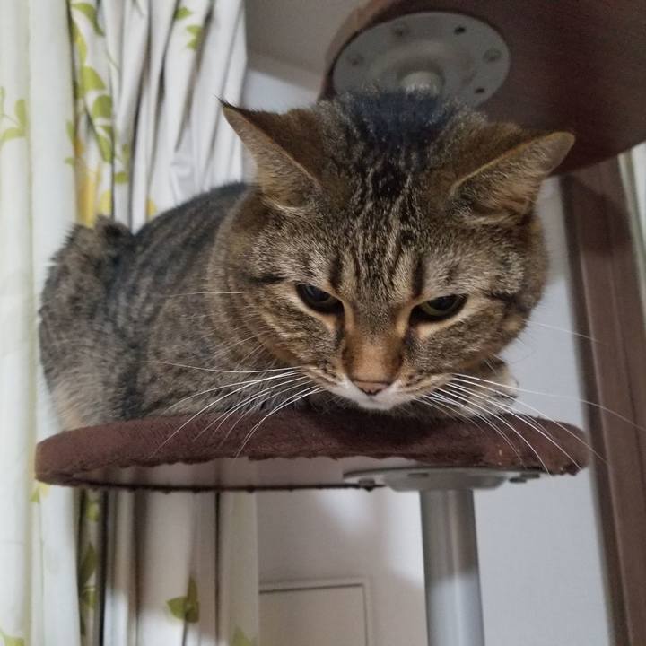 64e2ae50 efbb 44c8 81c2 489bd0194fa1 1606335485094