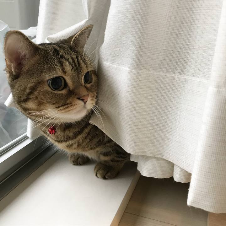 64e2c96f 11a3 4de8 8a9b 13850dc20e22 1510986221639