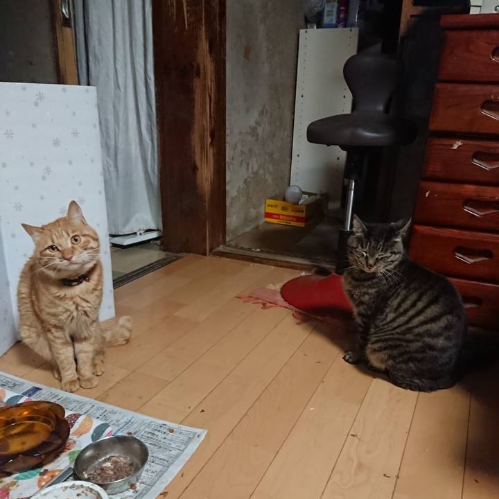 64e2e6e3 74ce 4937 a913 05e5923c7d9a 1654080502953