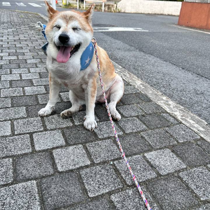 64e2f25d da8d 4b7c 8f07 3d6c0ca46f05 1755822727381