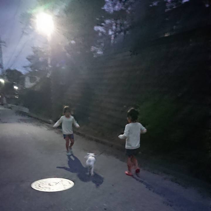 64e2fb34 2fbf 49b8 b18e c365c0f39696 1571959771051