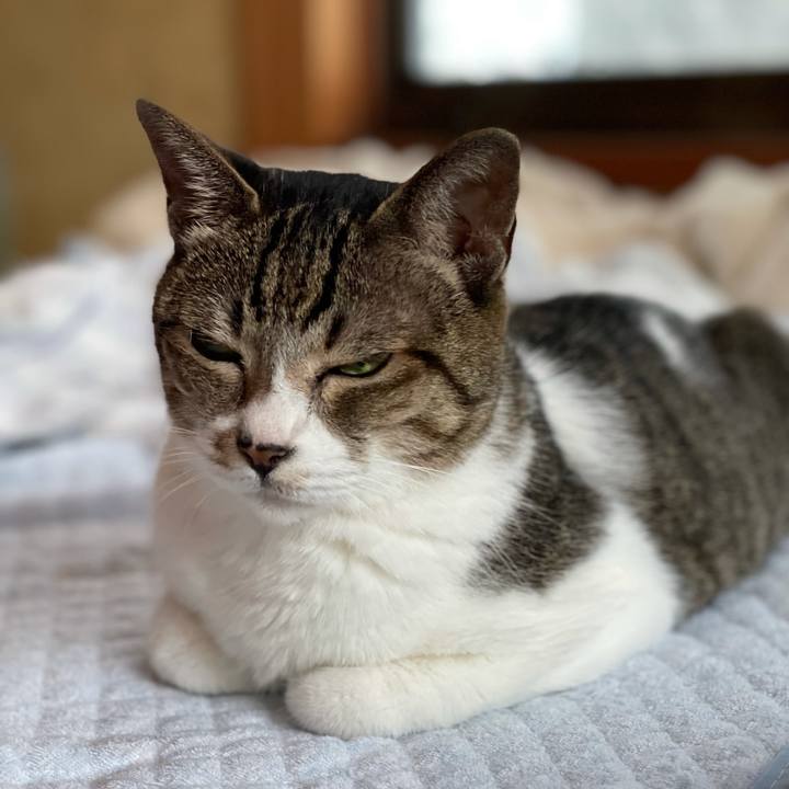 64e317e0 bfb4 4cf6 83a4 a5f47f5434b6 1633483502368