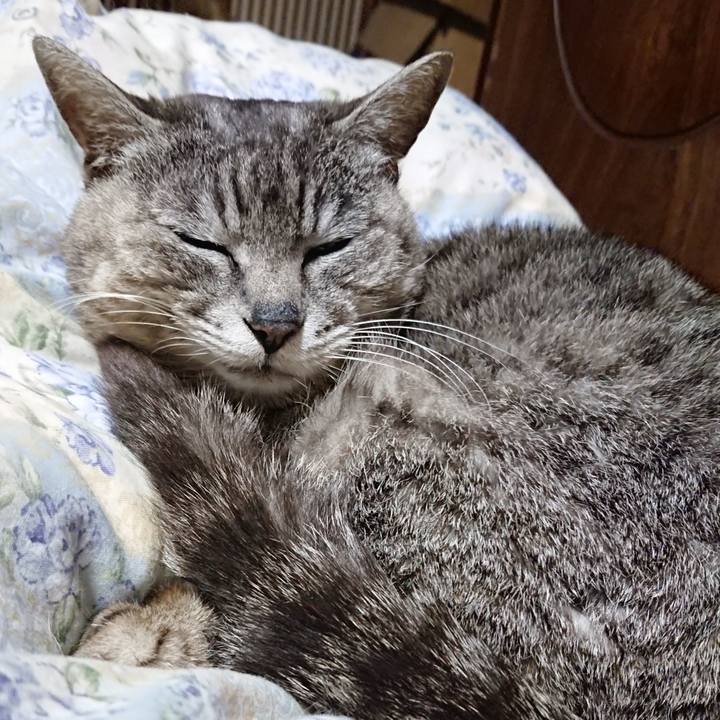 64e31b81 9859 4d7b 9131 ed926f00280a 1590066845929