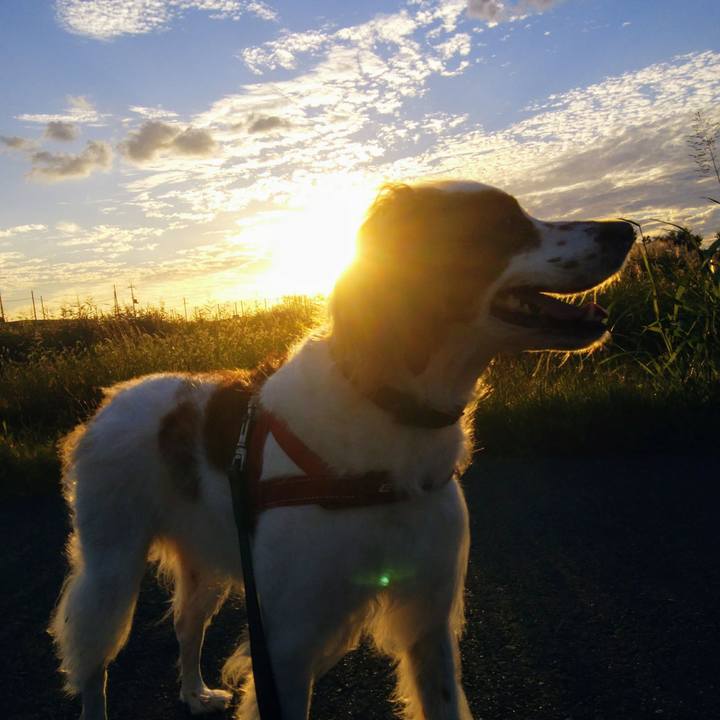 64e31bc8 ee53 457e 9330 b2cb42943de2 1538997875300