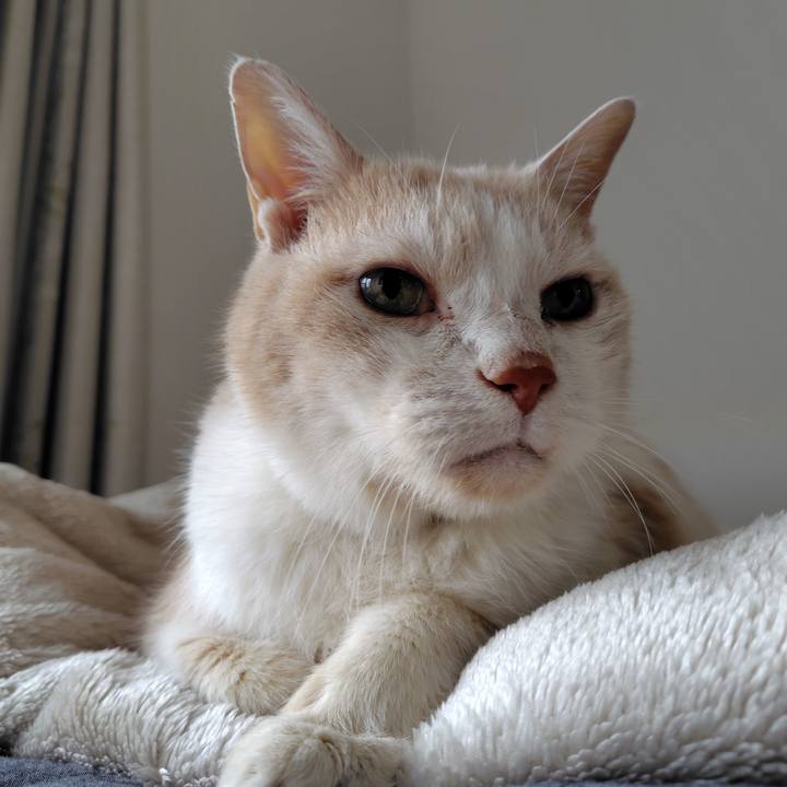 64e326ec 5d32 4e63 945c 3f4325f4e056 1732930349041