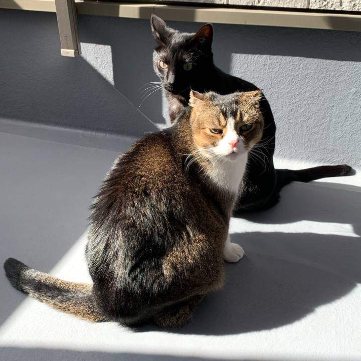 64e3451e c75f 465c a38f 06b9924fcea6 1612494282146