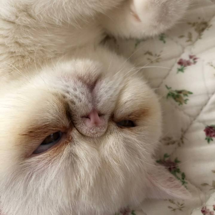 64e3943e b01f 4745 9e2b ae935cfd4ef9 1569924954342