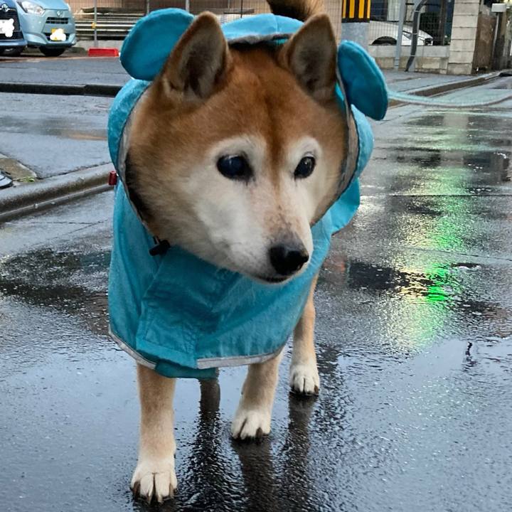 64e39f20 0b28 4058 826f 5953a8e16f10 1736151811942