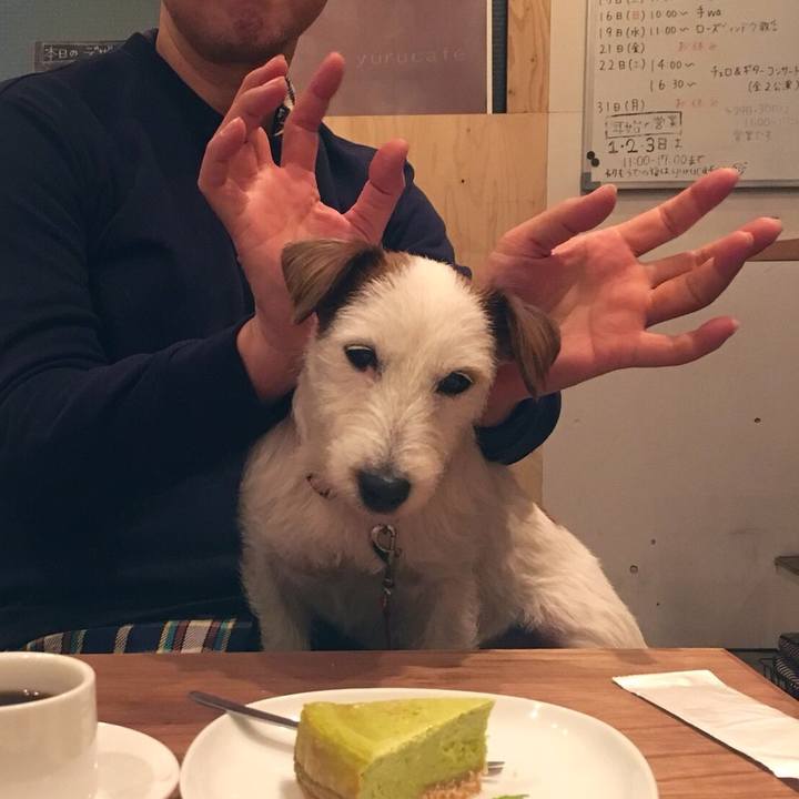 64e3aac9 72e6 45c7 aef0 5feae242a322 1545651147200