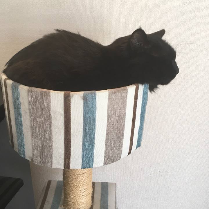 64e3be98 e76c 43b5 a7ba 4902b6d4d203 1522374069605