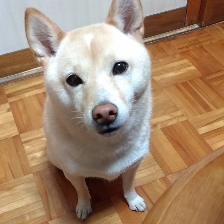 64e3c73b a4de 40fe 9152 ea8fefe81457 1605565525838