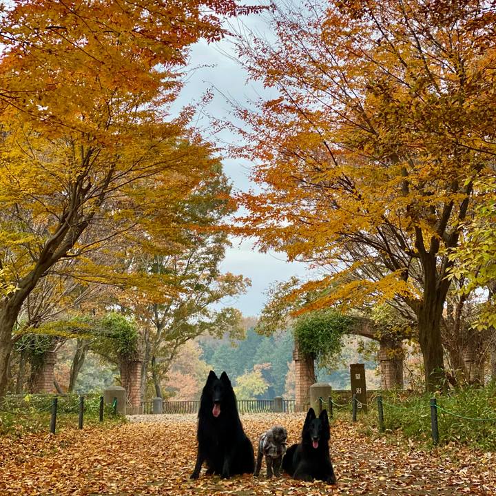 64e46440 e3c3 4a86 a919 8427d472869e 1764028490171