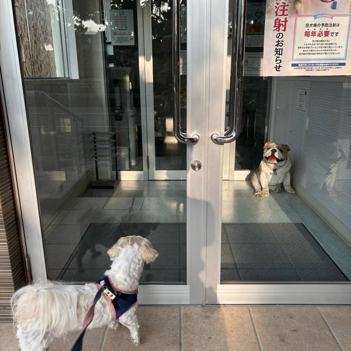 64e467fd e0cc 4c27 bf50 829307160987 1751838602319