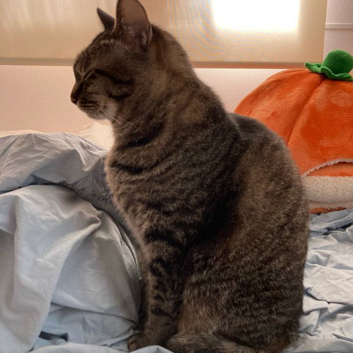 64e4a091 5031 4023 a75c 62ca01b43255 1617884888074