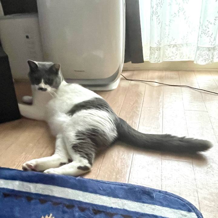 64e4b196 0a8c 4f75 9365 4ebbf6bd83ed 1656812831408