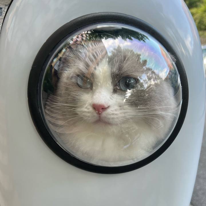 64e4bbfe ac46 4b7e 81f1 f50df0811434 1661559491614